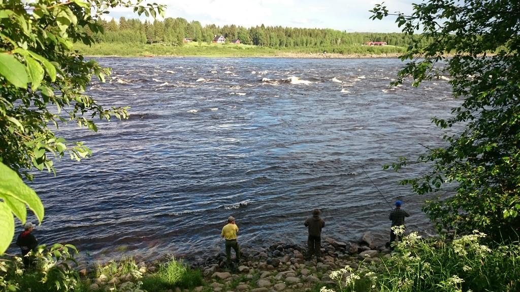 Nivagarden Villa Korpikylä Eksteriør bilde