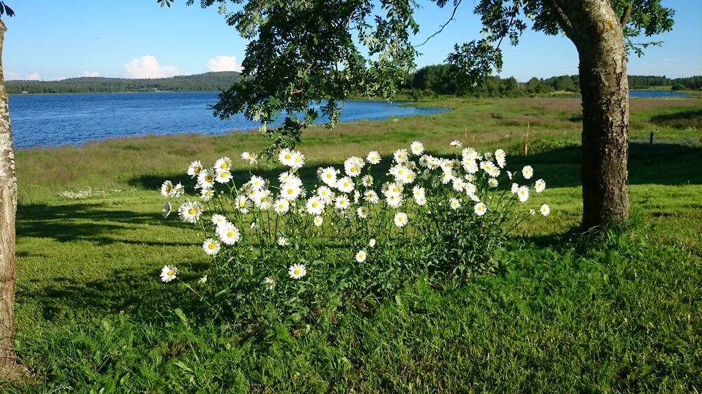 Nivagarden Villa Korpikylä Eksteriør bilde